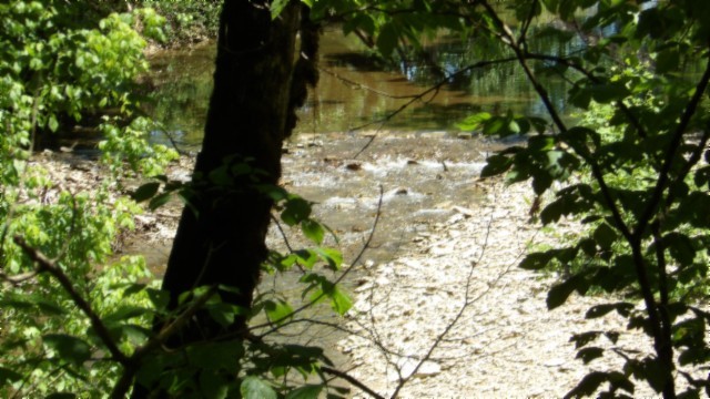 5155 Brimstone Creek Road Moss, TN 38575 - Photo 77 of 80