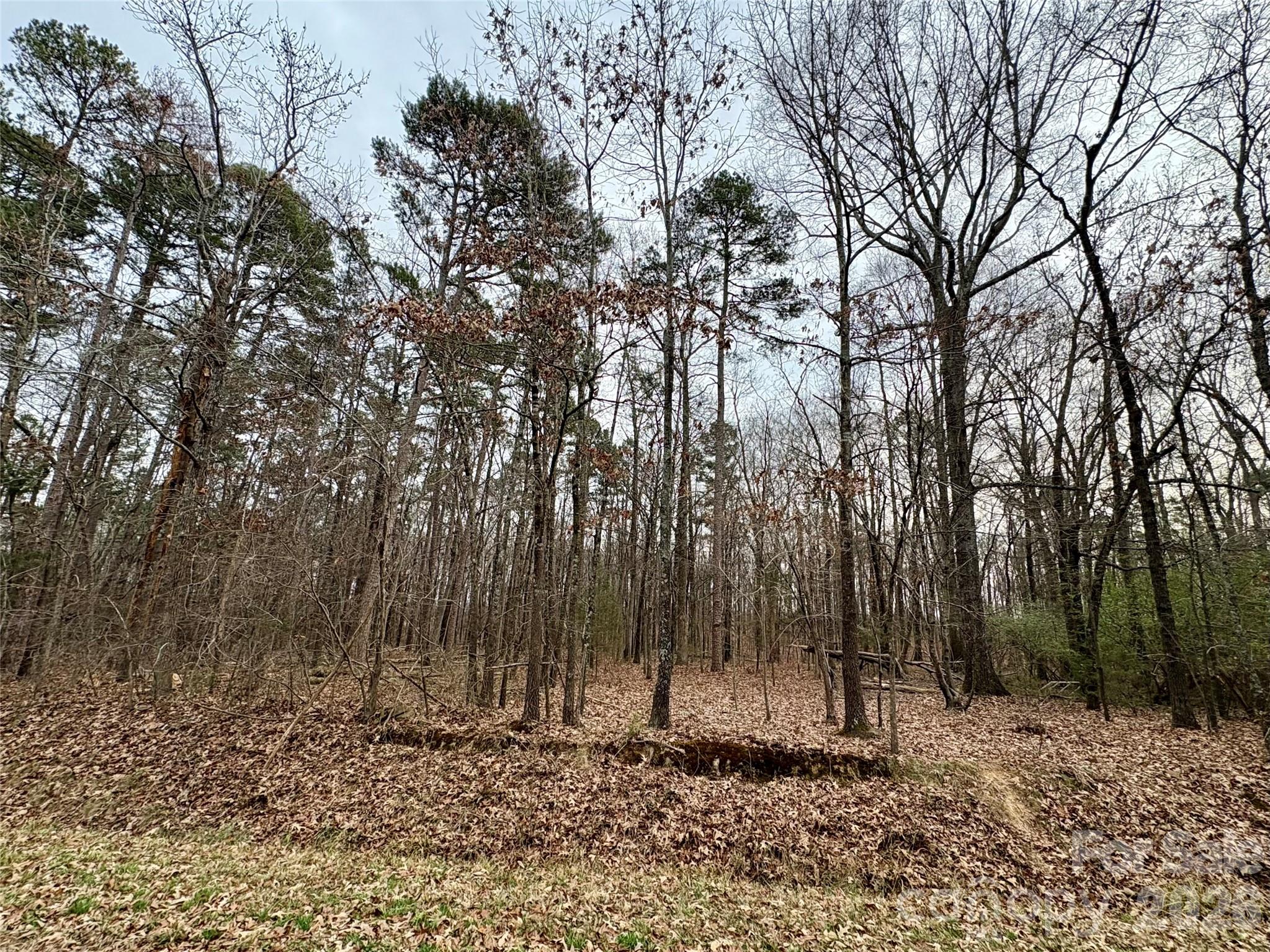 2734 L J Whitley Road Monroe, NC 28112 - Photo 2 of 7 a backyard of a house with lots of green space