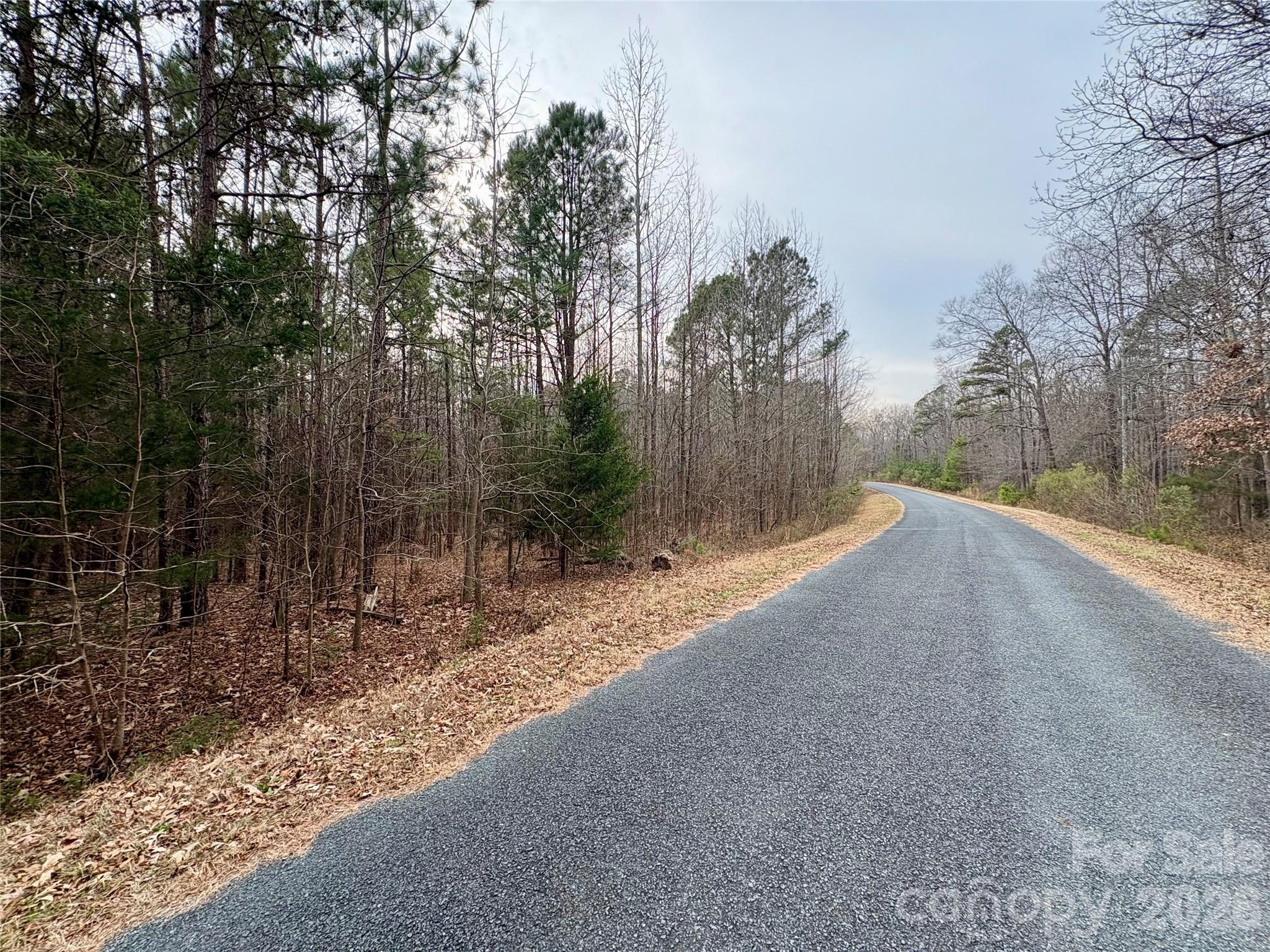 2734 L J Whitley Road Monroe, NC 28112 - Photo 3 of 7 a view of a forest filled with trees