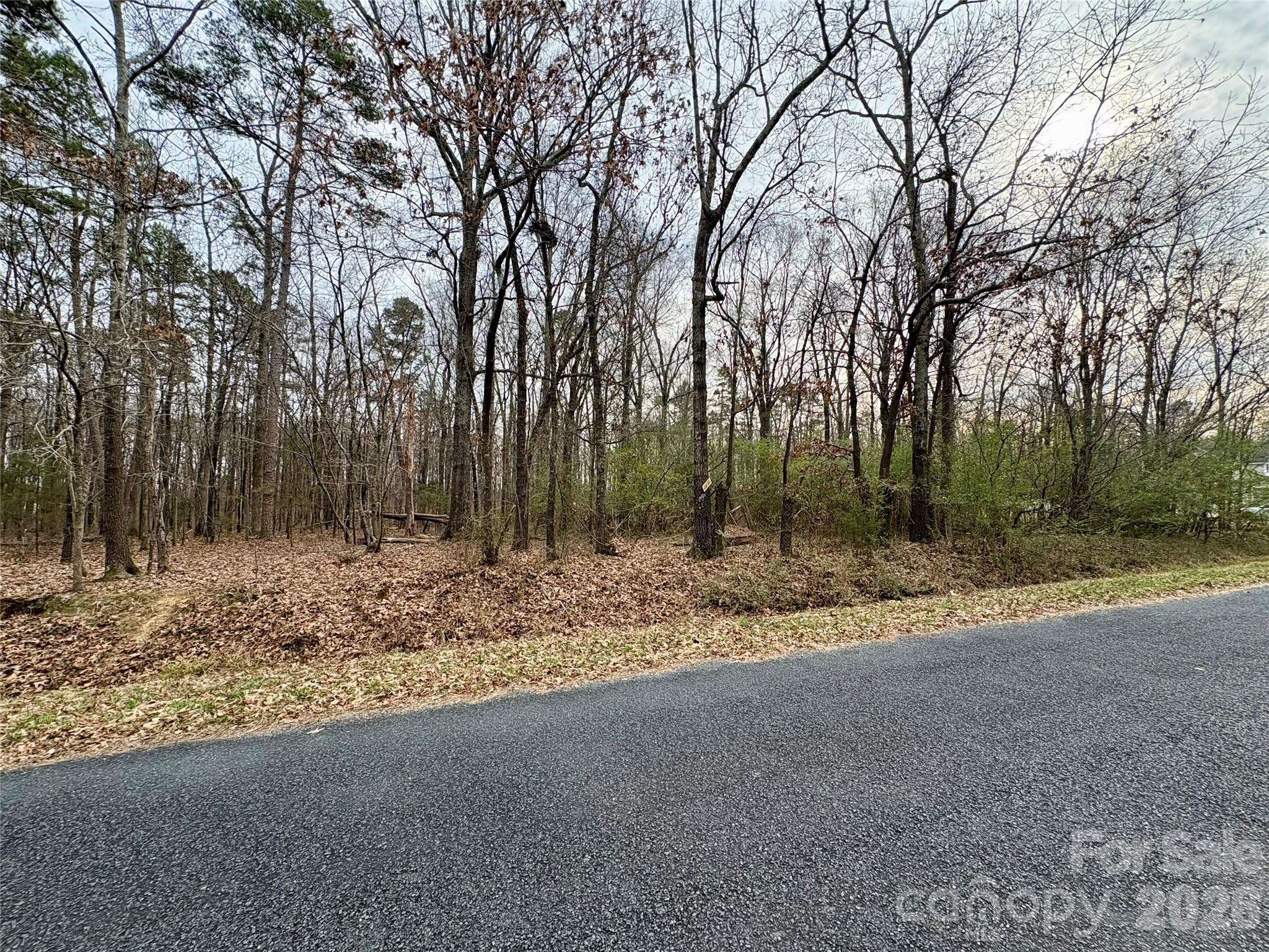 2734 L J Whitley Road Monroe, NC 28112 - Photo 6 of 7 a view of a yard with a tree