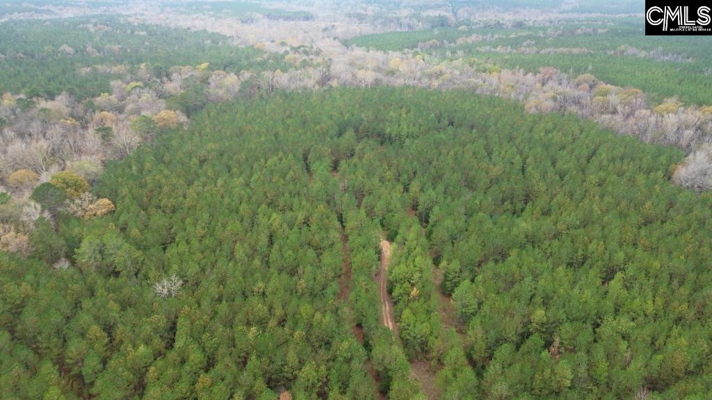 Old Cherokee Road Blair, SC 29015 - Photo 5 of 18