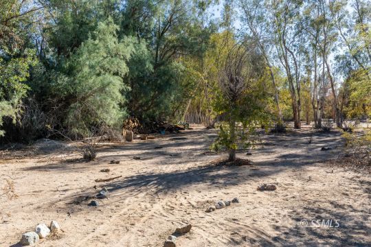 1029 Leslie Street Ridgecrest, CA 93555 - Photo 38 of 40 a view of road and trees