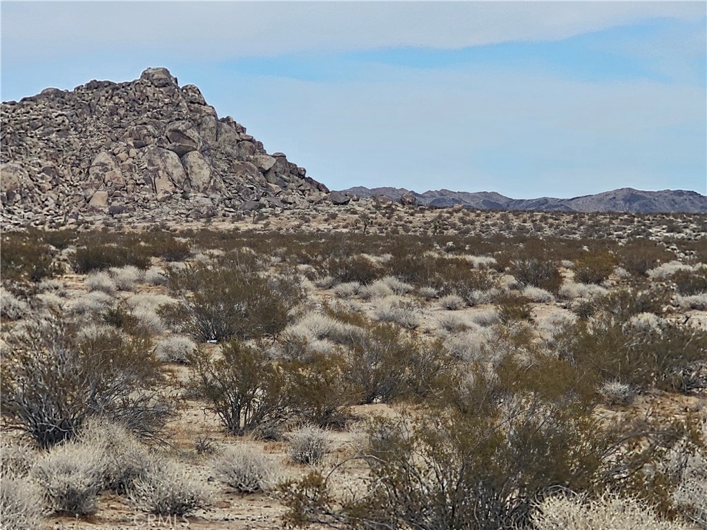 402 Rose Lane Lucerne Valley, CA 92356 - Photo 4 of 6 a view of a large mountain with lots of trees in the background