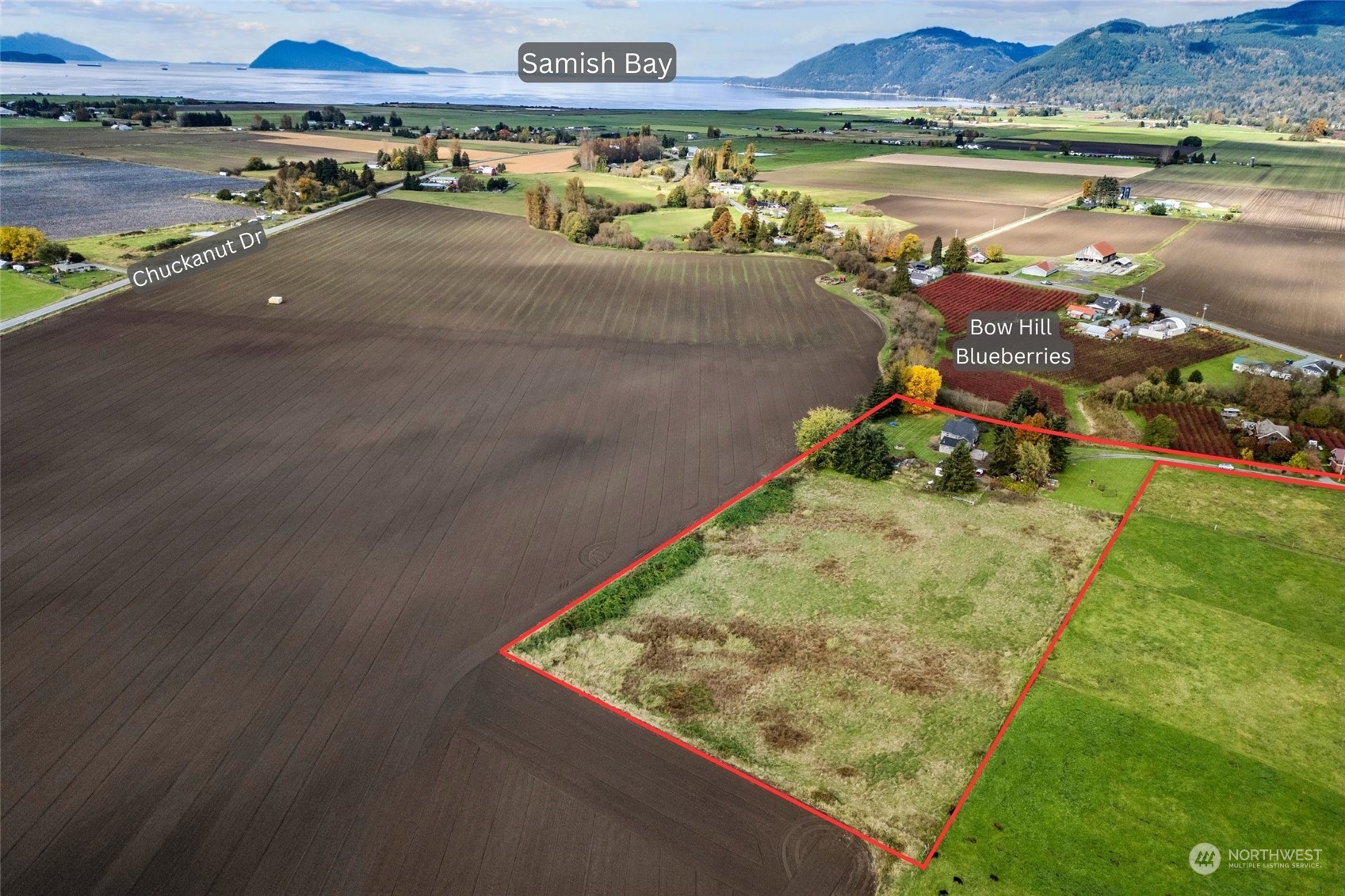 15778 Cemetery Road Bow, WA 98232 - Photo 3 of 40 Gallery Image 3