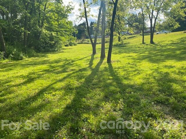5281 Jenkins Road Morganton, NC 28655 - Photo 27 of 31 a view of a yard with a tree