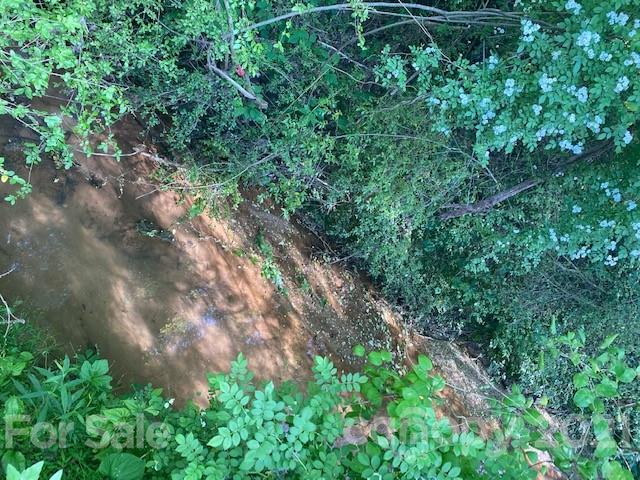 5281 Jenkins Road Morganton, NC 28655 - Photo 30 of 31 a plant view in yard