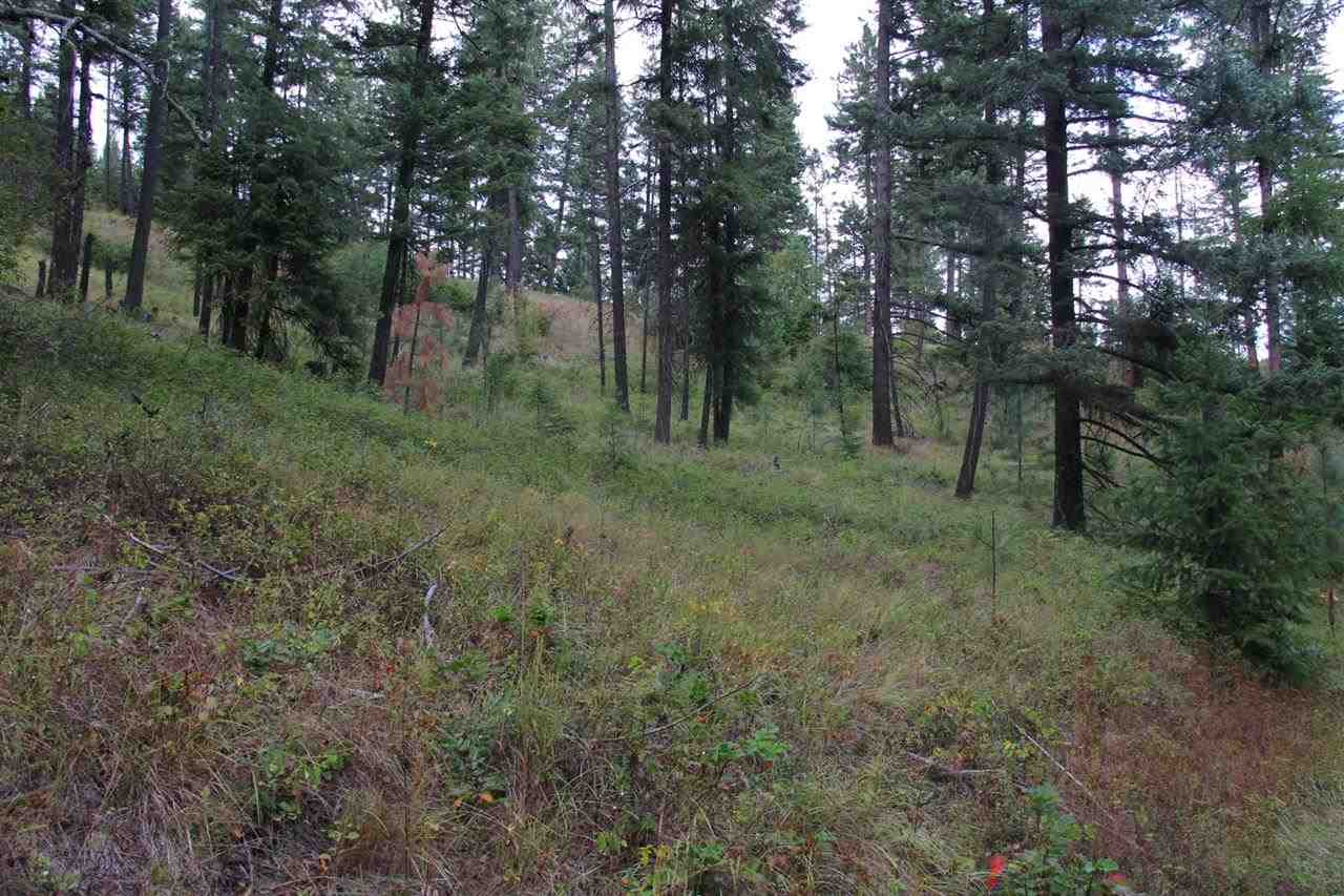 44-xx North Spotted Road Clayton, WA 99110 - Photo 14 of 20