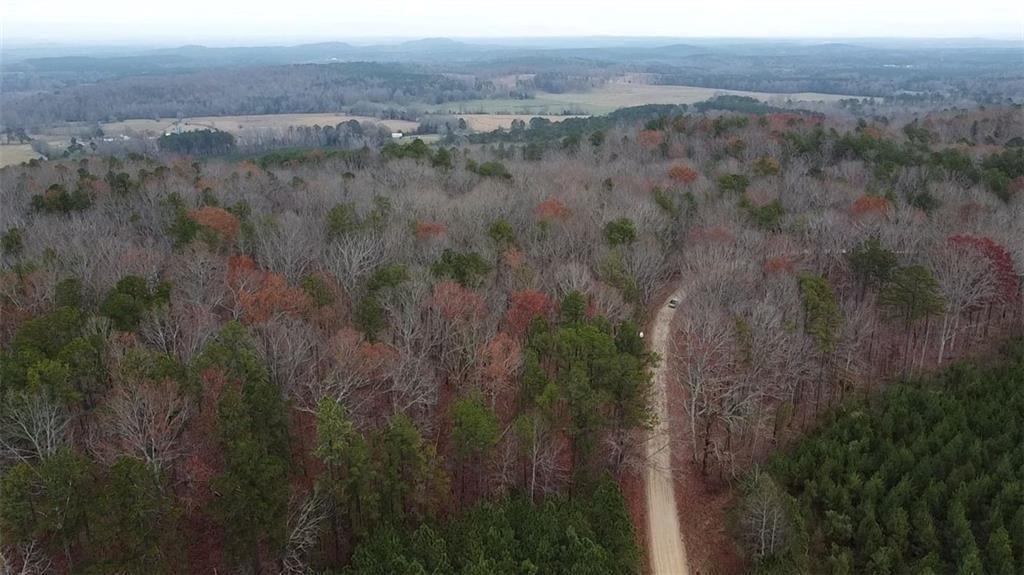0 Treat Mountain Road Cedartown, GA 30125 - Photo 3 of 7 a view of a lush green forest with trees and some trees