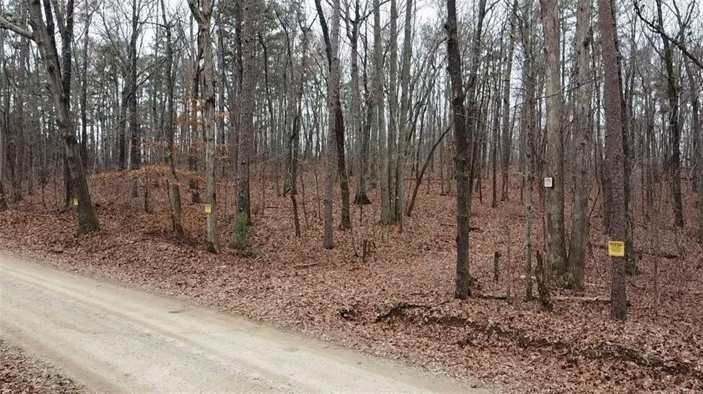 0 Treat Mountain Road Cedartown, GA 30125 - Photo 5 of 7 a view of a backyard