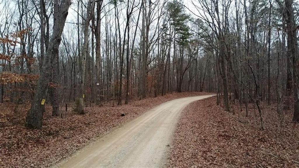 0 Treat Mountain Road Cedartown, GA 30125 - Photo 6 of 7 a view of a backyard with large trees