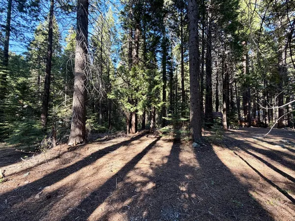 $35,000 | 184 Creekside Drive, Arnold, CA 95223