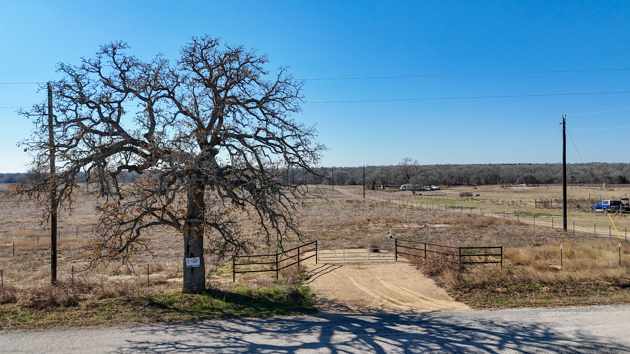 a view of a lake with a tree