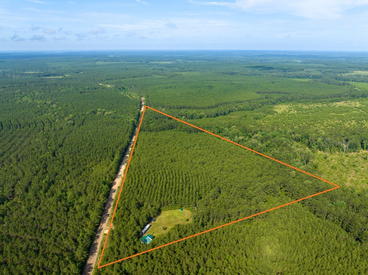 1 South Caney Road Groveton, TX 75845 - Photo 2 of 24