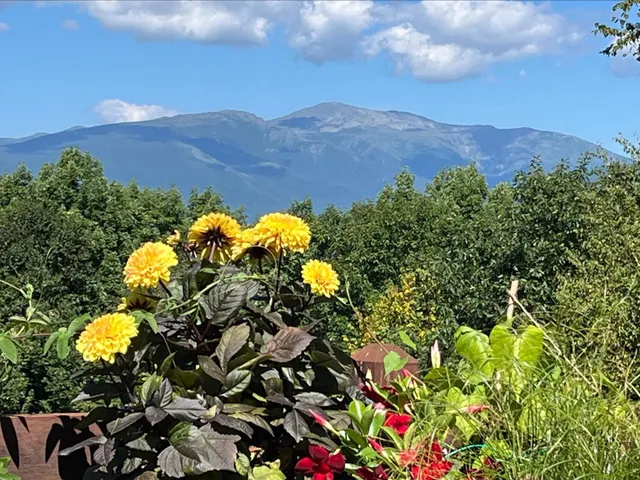 $2,100,000 | 105 North Hampshire Ridge Road, Jackson, NH 03846