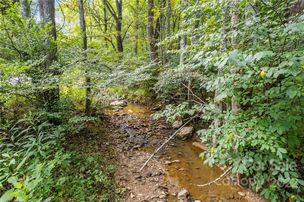 3955 Little Pine Road Marshall, NC 28753 - Photo 32 of 39 Gallery Image 32