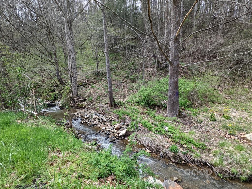 3955 Little Pine Road Marshall, NC 28753 - Photo 34 of 39 Gallery Image 34