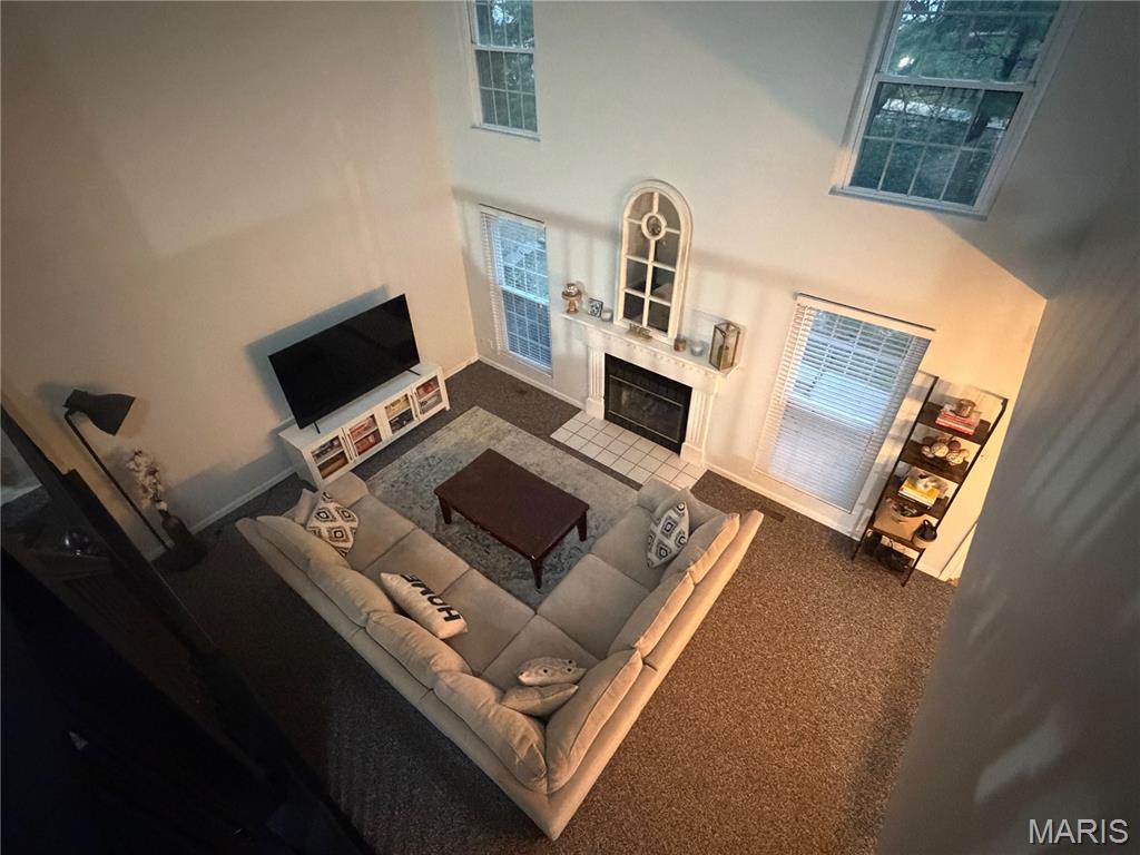 5510 Bourbeuse Common, Unit 3 Weldon Spring, MO 63304 - Photo 19 of 33