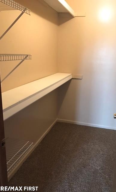 20700 Dunham Road Clinton Township, MI 48038 - Photo 19 of 36 Walk-in Closets