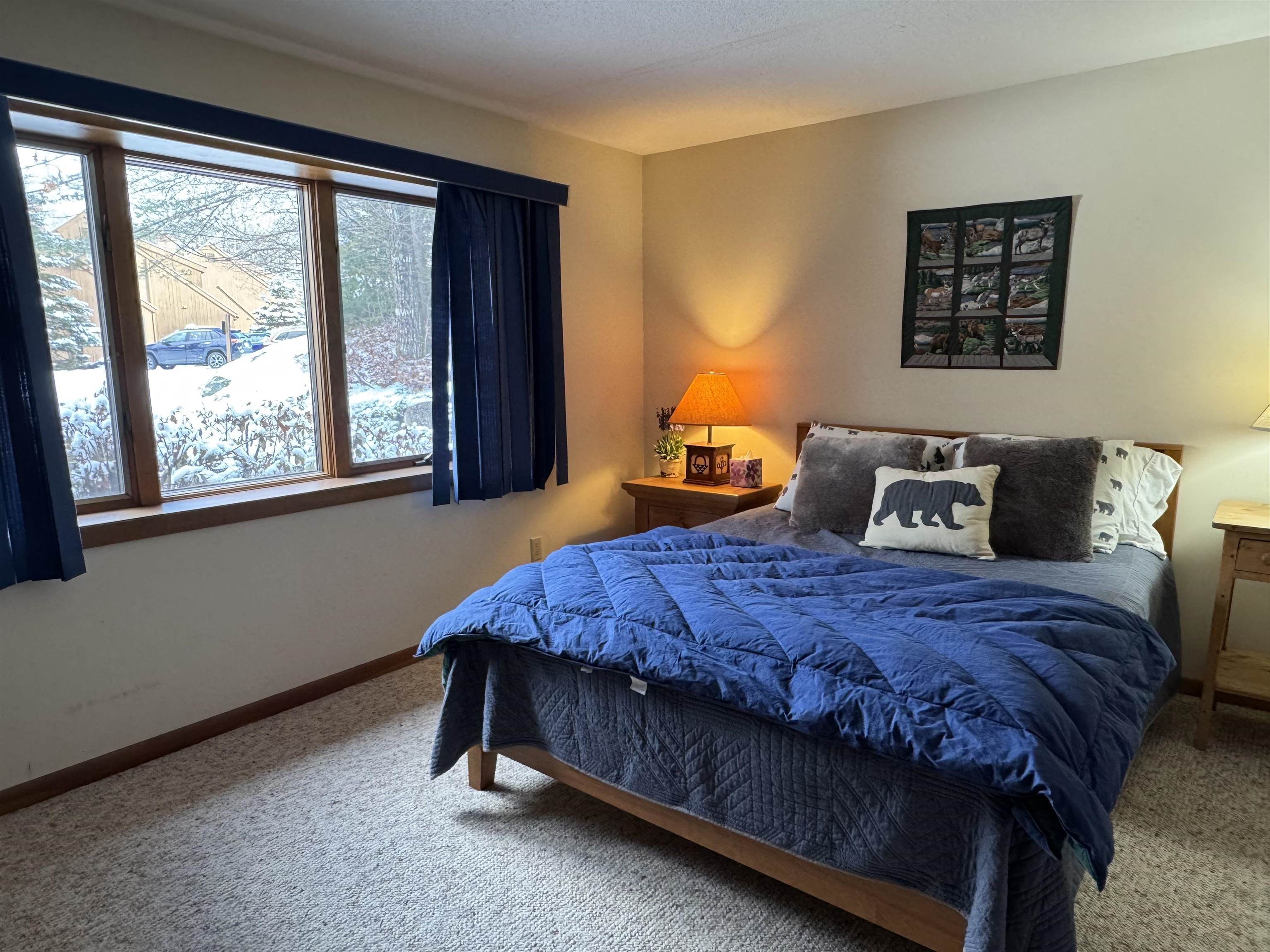 4 Pioneer Point Grantham, NH 03753 - Photo 9 of 15