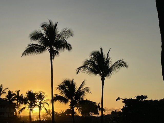 69-1010 Keana Place, Unit B106 Waikoloa, HI 96738 - Photo 18 of 19