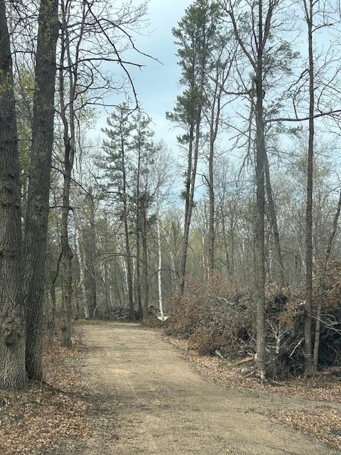 Xxx Aztec Road Motley, MN 56466 - Photo 2 of 10