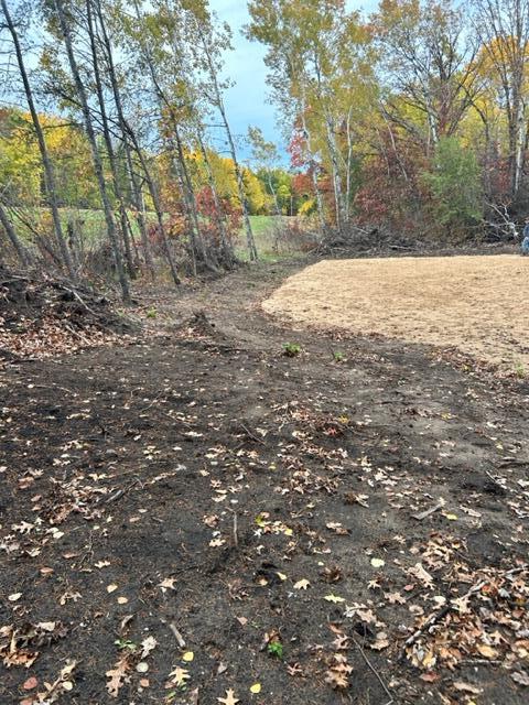 Xxx Aztec Road Motley, MN 56466 - Photo 7 of 10