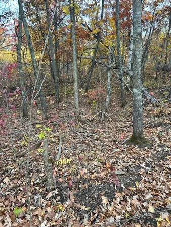 $60,000 | Xxx Aztec Road, Motley, MN 56466