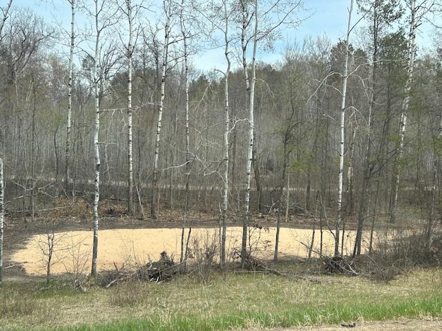 Xxx Aztec Road Motley, MN 56466 - Photo 9 of 10