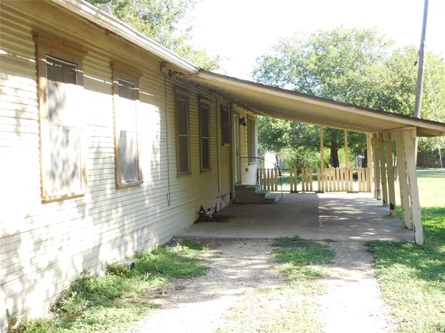 a view of backyard with large trees and plants