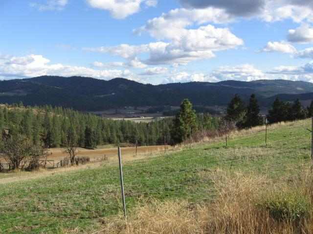 0 Pit Lane Mead, WA 99021 - Photo 2 of 7