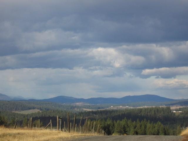 0 Pit Lane Mead, WA 99021 - Photo 6 of 7
