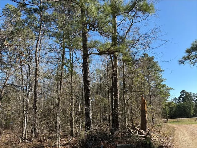 $34,000 | 0 Effie Highway, Deville, LA 71328