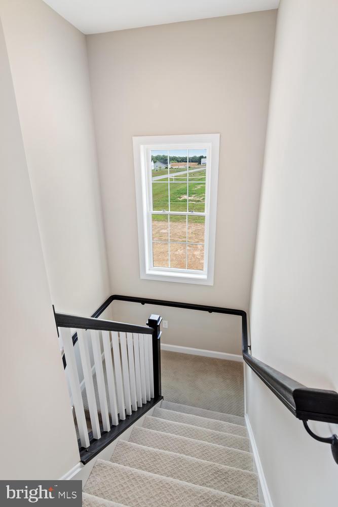 11521 ( 4) Maplewood Drive Ridgely, MD 21660 - Photo 29 of 46