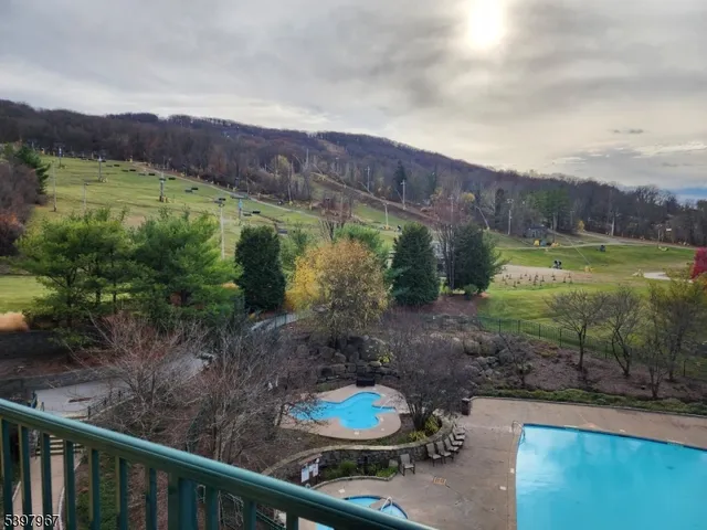 a view of a backyard with plants and a lake view