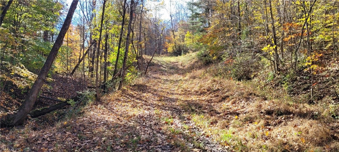 Duncan Run Road Philo, OH 43771 - Photo 5 of 32