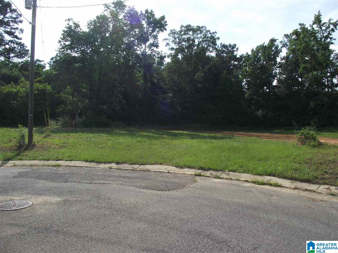 0 Logan Farms Road, Unit 1 Vance, AL 35490 - Photo 12 of 18