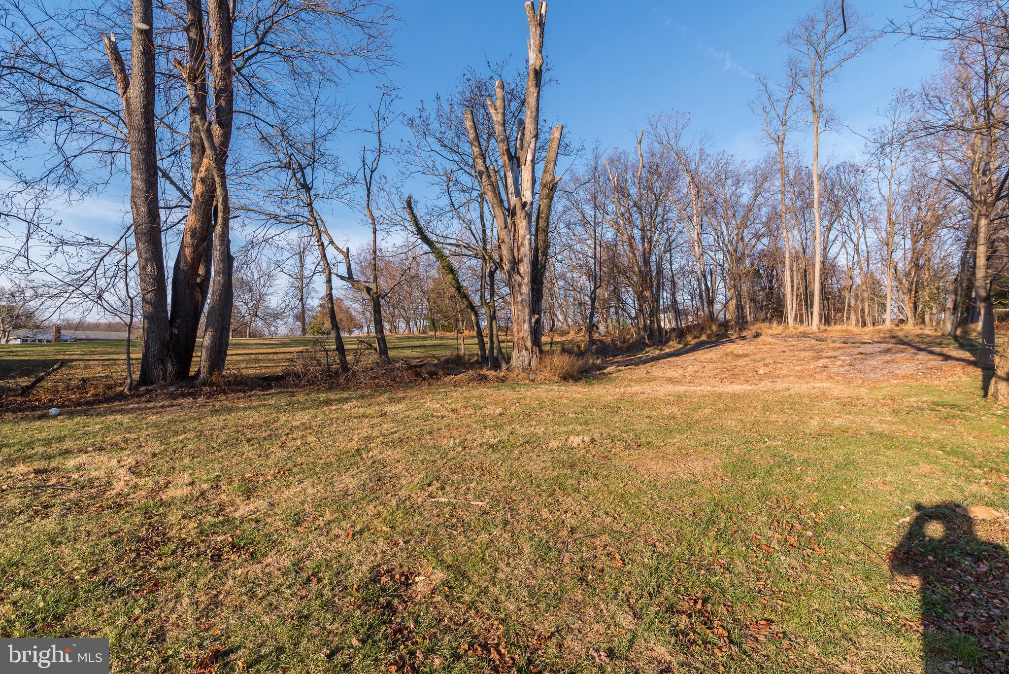 141 Awkard Lane Silver Spring, MD 20905 - Photo 48 of 50 Gallery Image 48