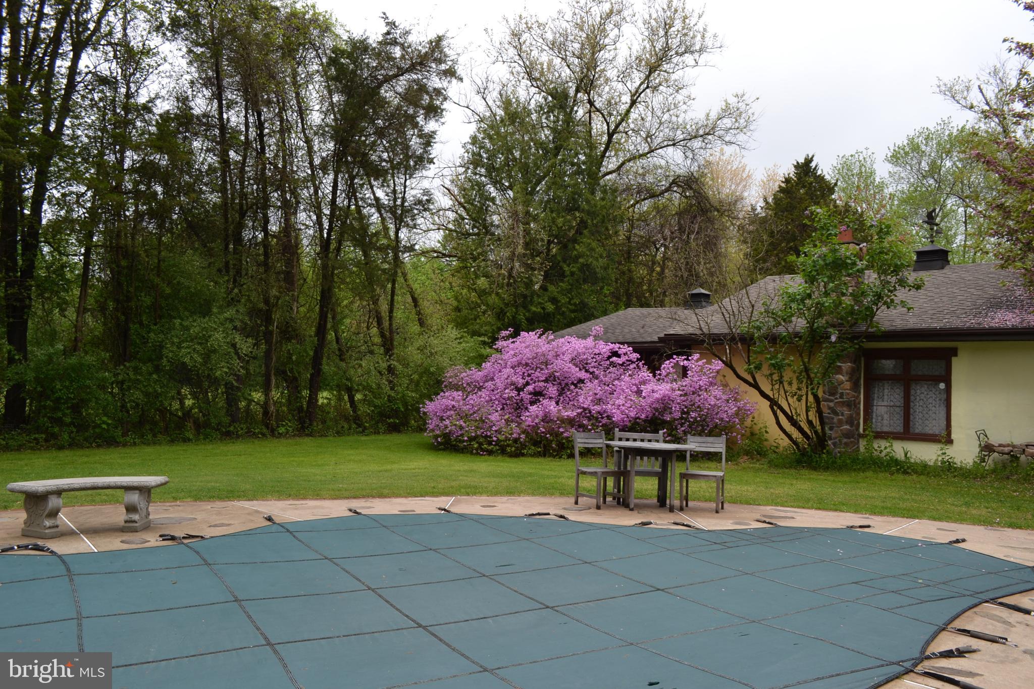 6616 Ferry Road New Hope, PA 18938 - Photo 39 of 49 Large azalea bushes behind garages