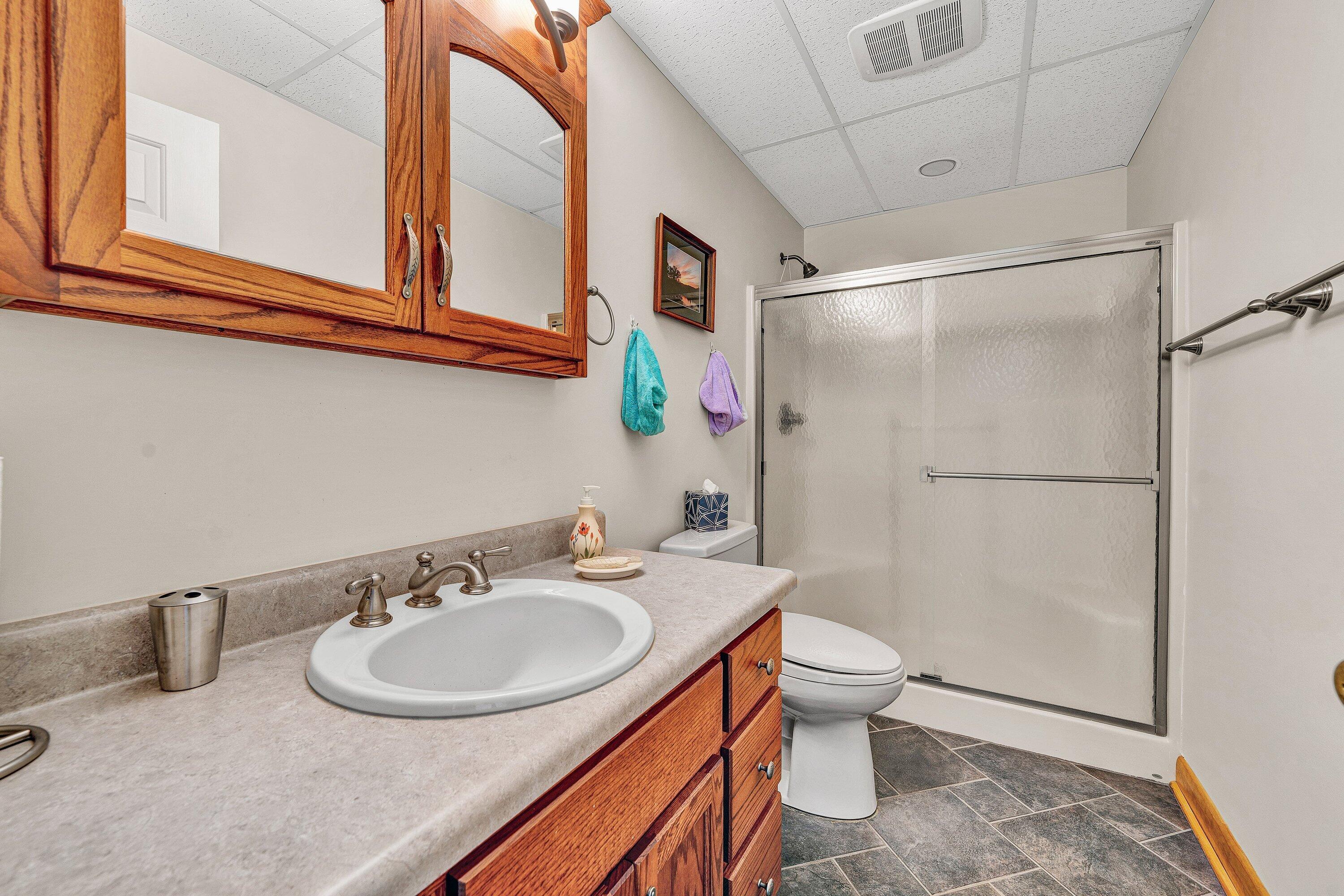 23 Waterpoint Court Moneta, VA 24121 - Photo 28 of 38 a bathroom with a sink toilet and shower