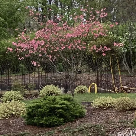 a view of a garden