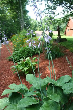 7 Thompson Road Hubbardston, MA 01452 - Photo 22 of 23 Gallery Image 22