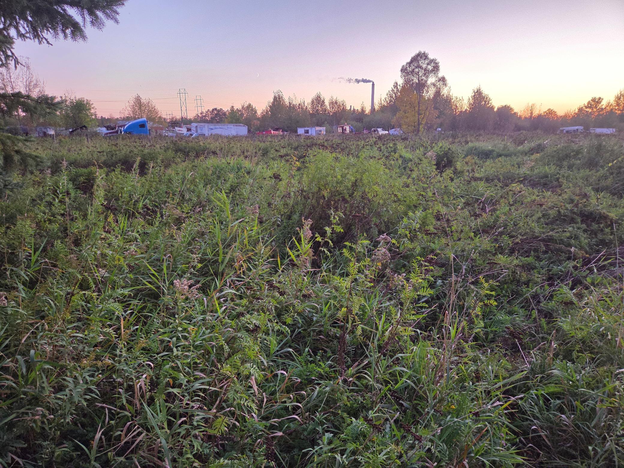 36101 Pincherry Road Cohasset, MN 55721 - Photo 5 of 6