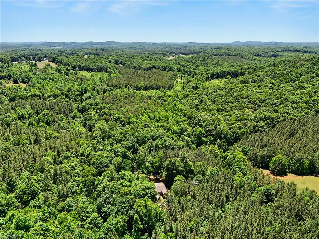 404 Kennedy Farm Road South Trinity, NC 27370 - Photo 30 of 37