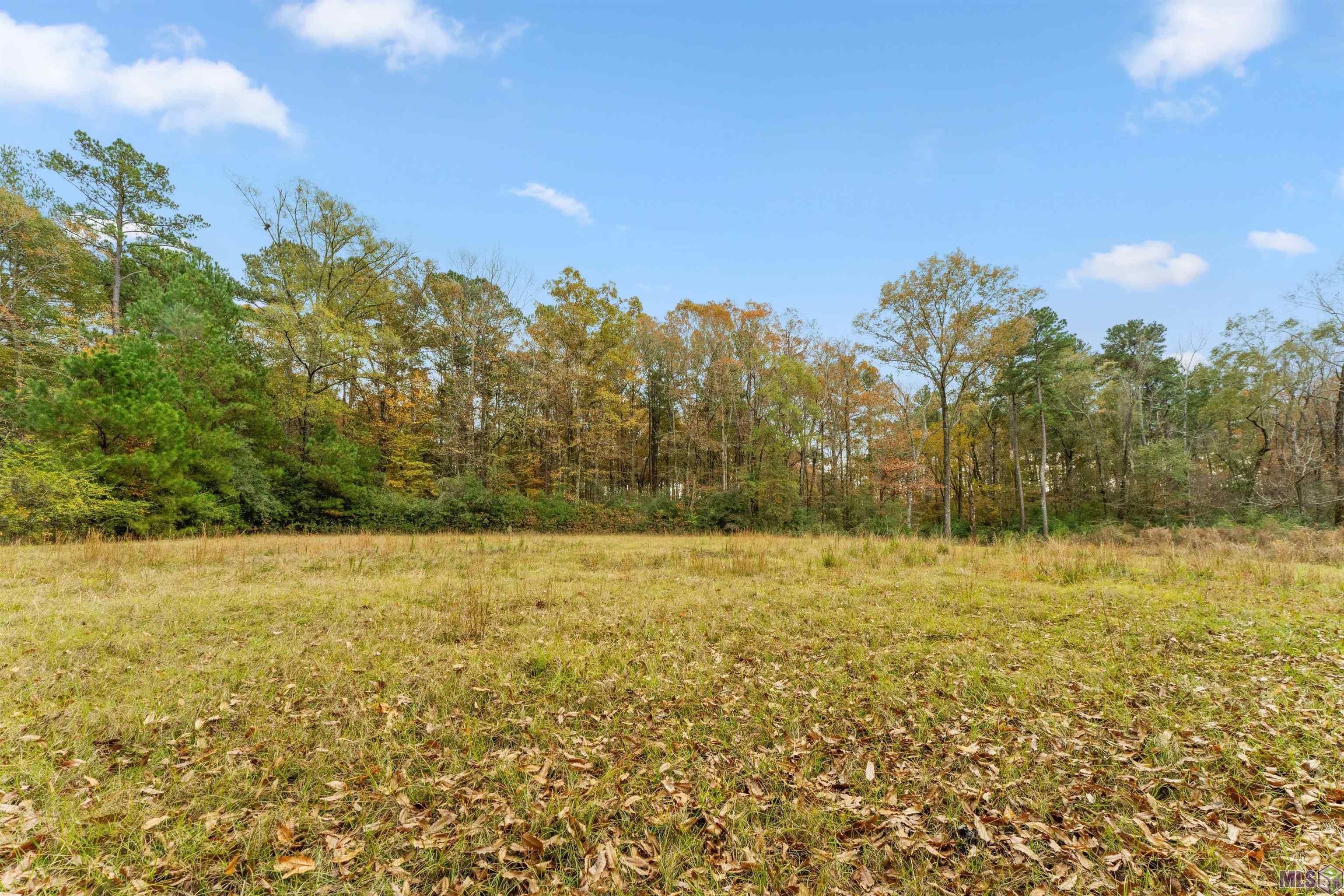 5498 Old Liberty Road North Clinton, LA 70722 - Photo 14 of 21