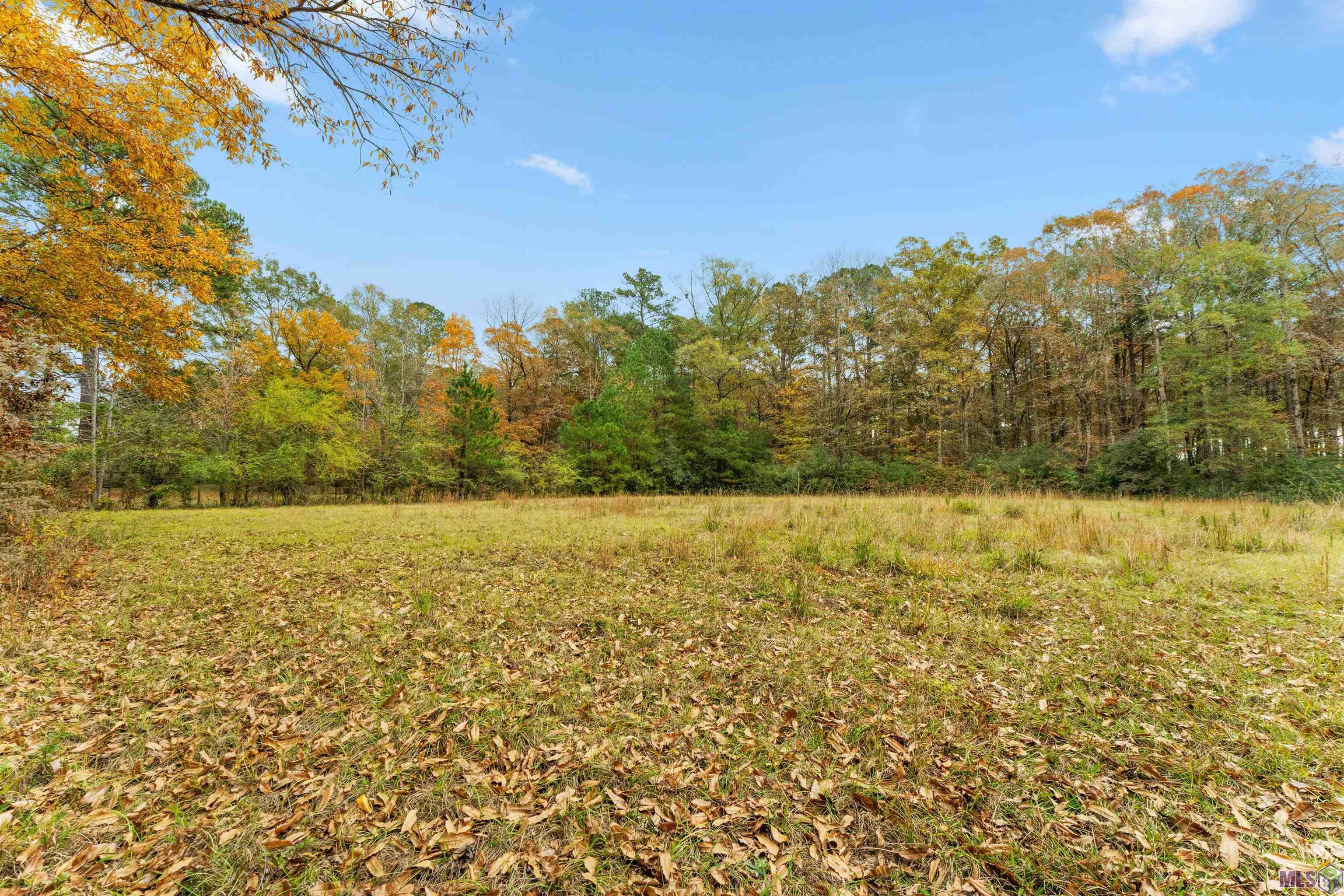 5498 Old Liberty Road North Clinton, LA 70722 - Photo 15 of 21