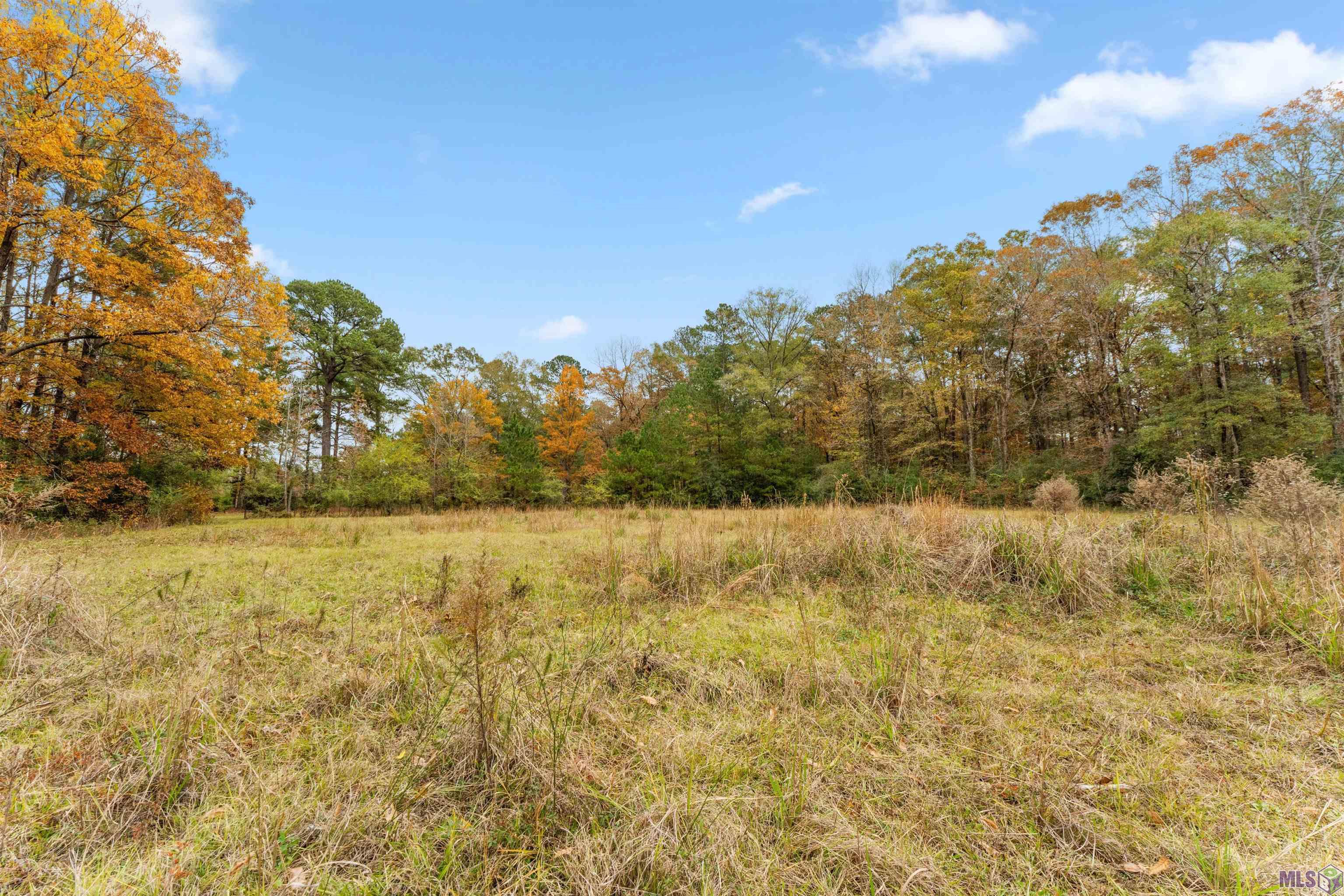 5498 Old Liberty Road North Clinton, LA 70722 - Photo 17 of 21