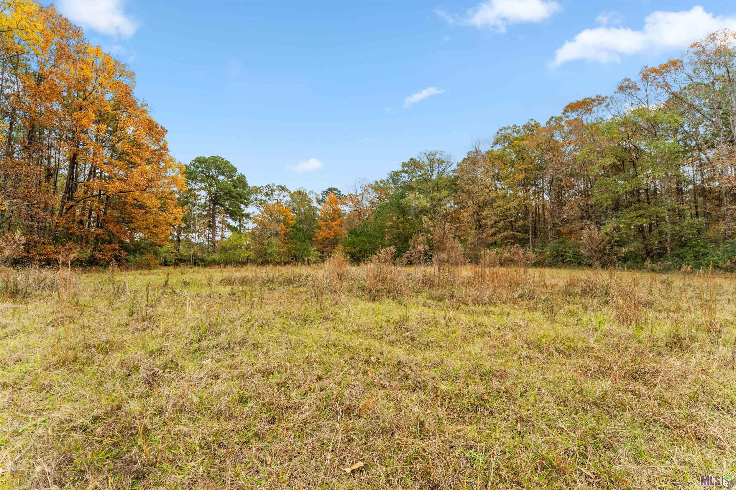 5498 Old Liberty Road North Clinton, LA 70722 - Photo 18 of 21