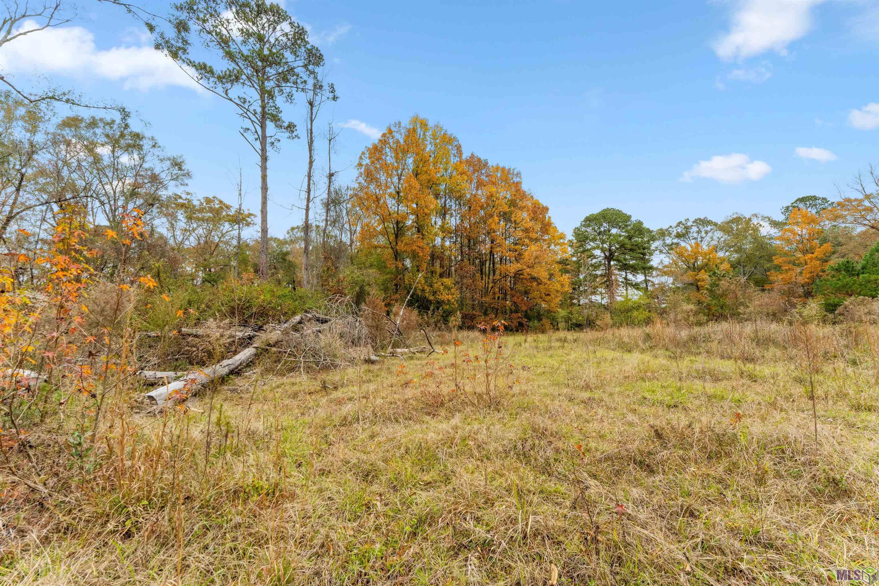 5498 Old Liberty Road North Clinton, LA 70722 - Photo 19 of 21