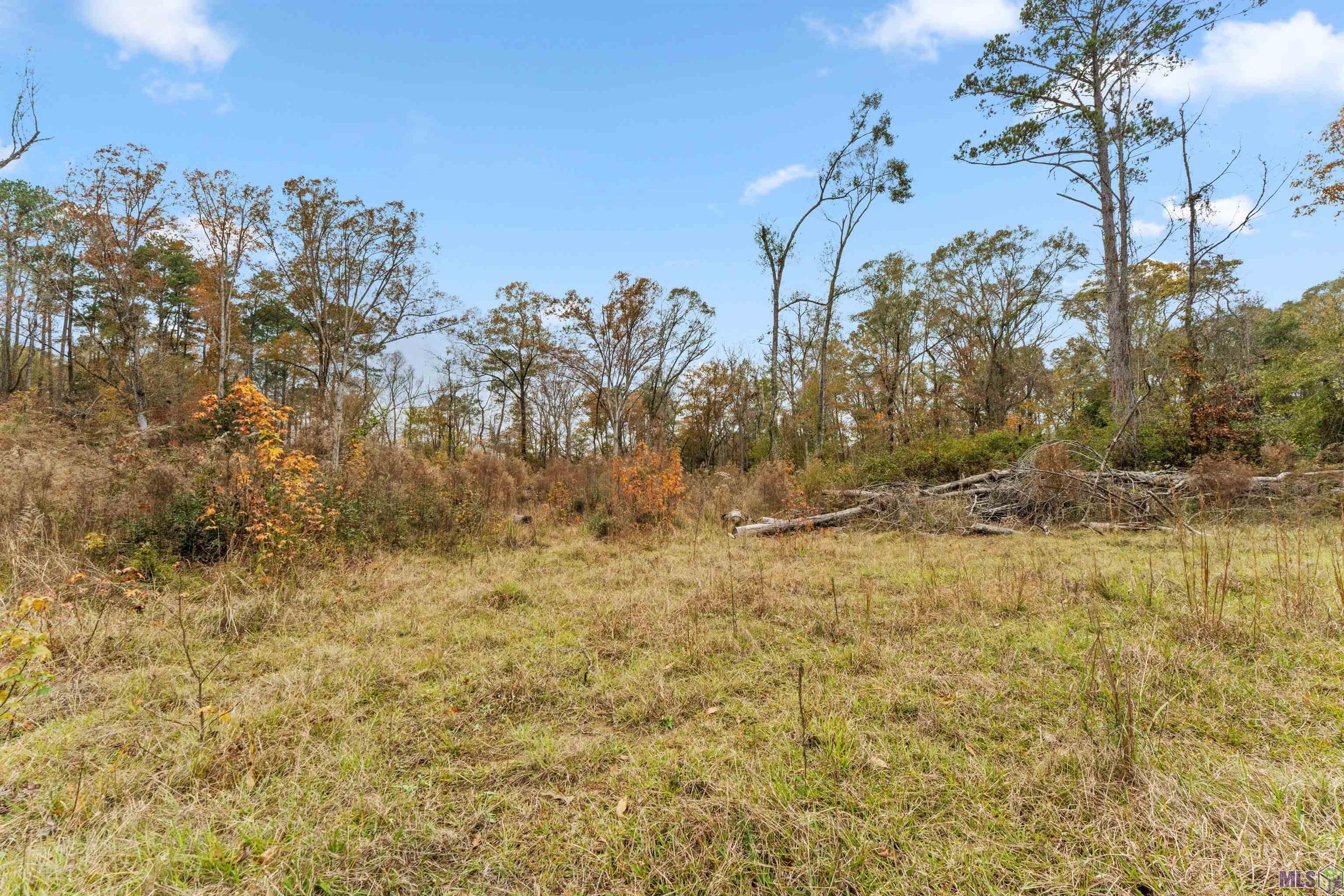 5498 Old Liberty Road North Clinton, LA 70722 - Photo 20 of 21