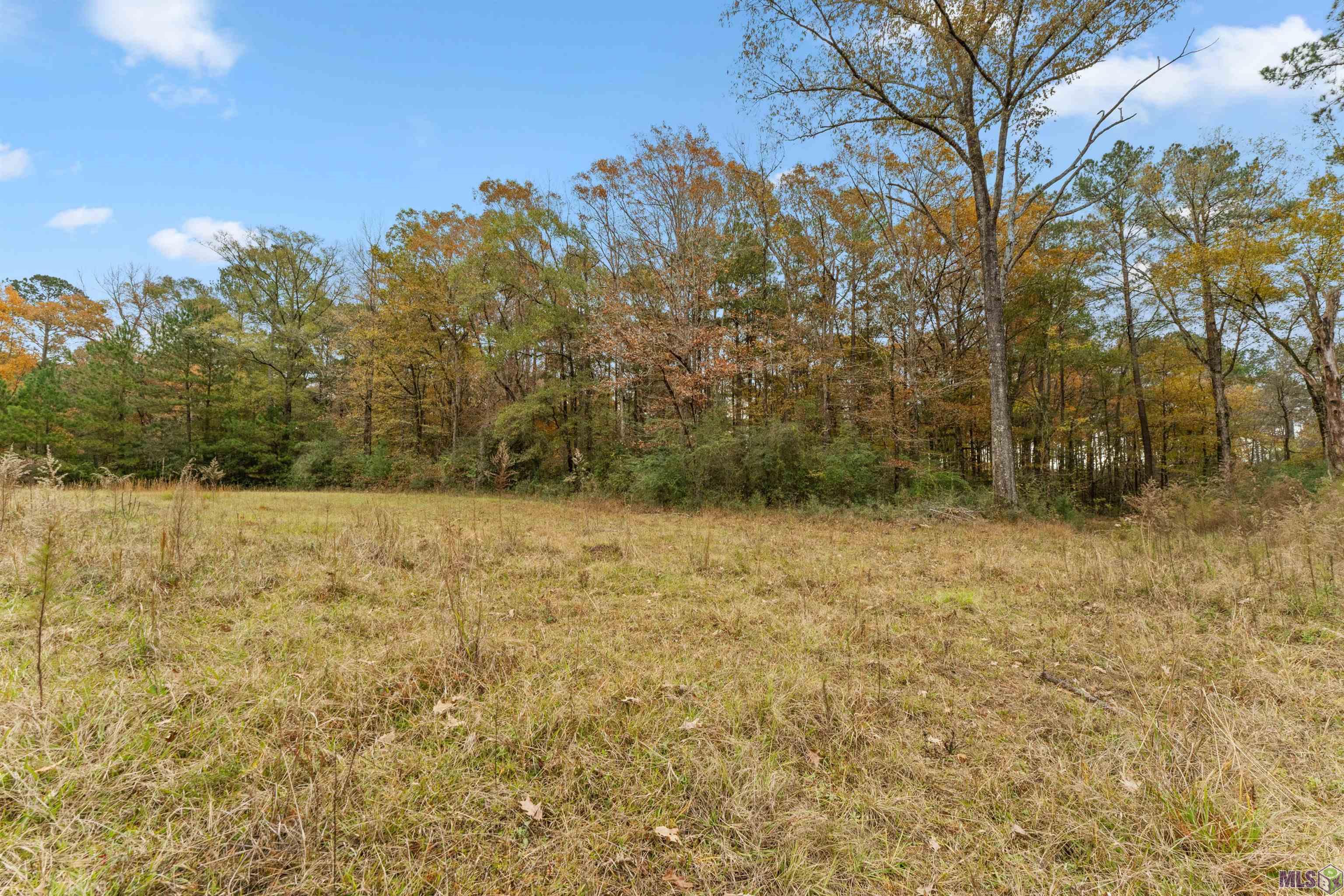 5498 Old Liberty Road North Clinton, LA 70722 - Photo 21 of 21